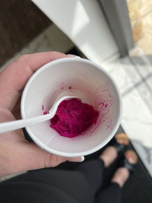 dragon fruit sorbet