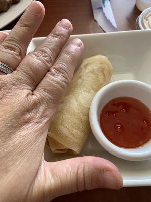 Spring roll- handmade