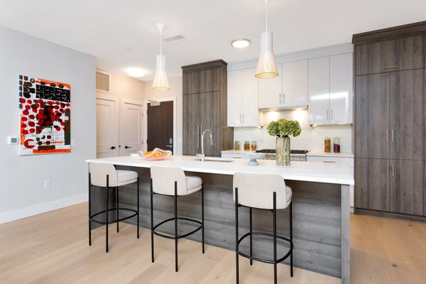 Modern kitchen with paneled Thermador appliances