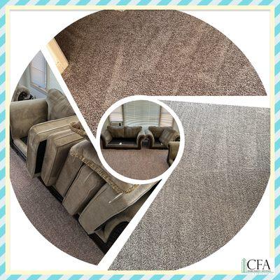 Carpet and upholstery cleaned....