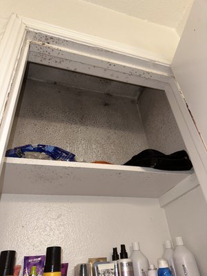 Mold that they never would come clean