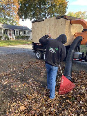 Leaf Removal