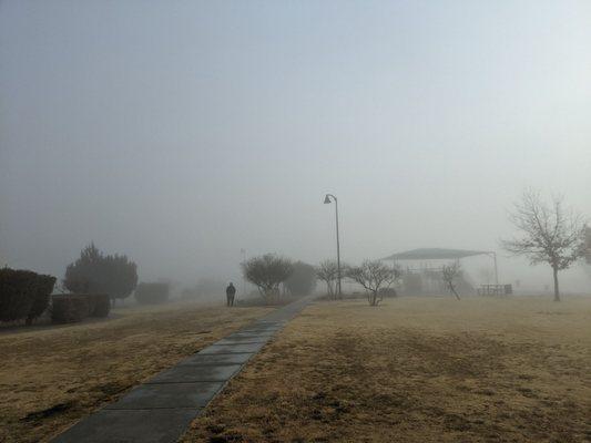 Unusual morning fog