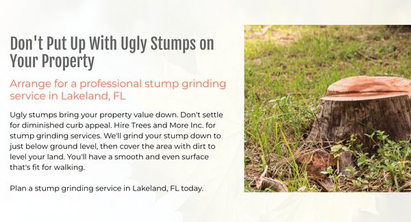 Have an ugly stump on your property you don't want to see anymore ? call us today, easy fix to remove it for you!