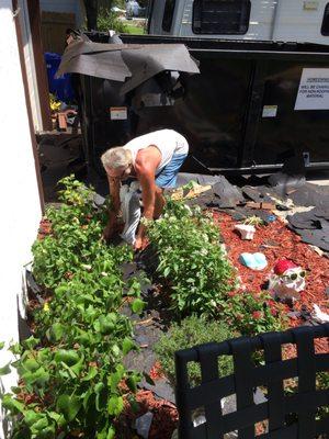 The dumpster is behind my husband. As he was picking debris up, they were throwing it down next to him.