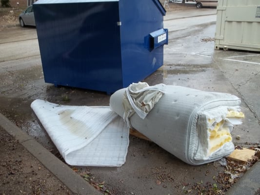 Scavangers come and rip out metal scrap from abandoned bedbug matresses