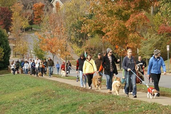 Walk for Animal Protection