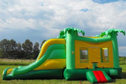 The Safari bounce house/slide combo that we rented from Outta Sight Bounce House Rentals.  Our kids LOVED it!