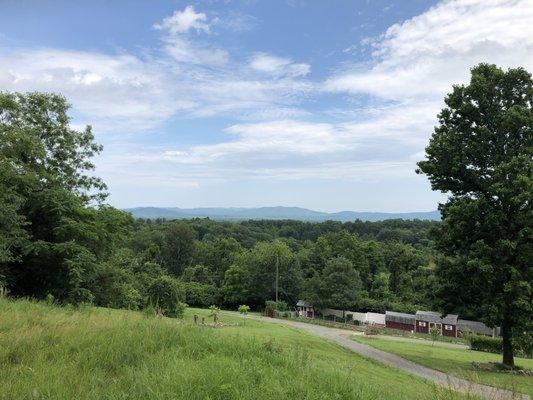 6566 Marymart Farm Road - 19 acres for sale in Crozet, Va