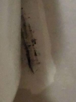 More black mold behind the toilet