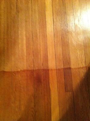 Floors after refinishing; saddles were never recommended