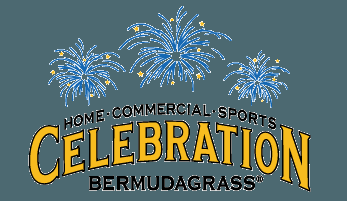 Bermuda Grass