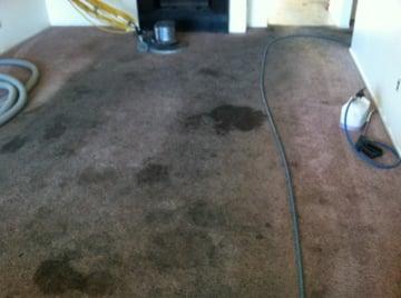 This is one of the dirtiest carpets I have ever been challenged with!