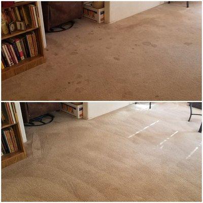 Tomlinson Carpet Cleaning