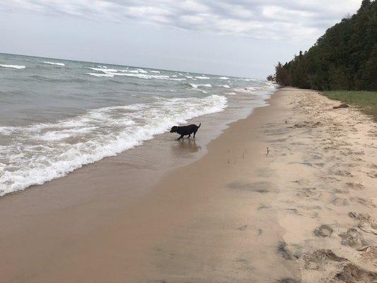 Murphy @ Frankfort Beach