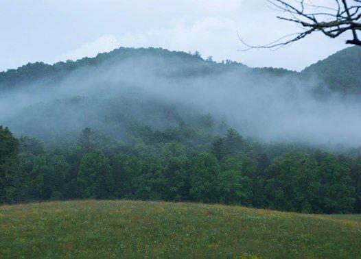 Recent trip to Gatlinburg, TN