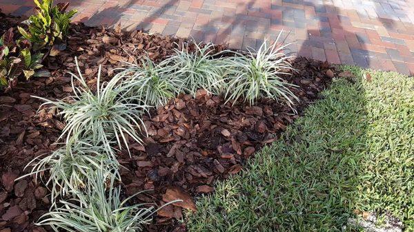 Pine Bark Mulch