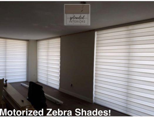 Zebra con motores para su mayor comodidad!  Motorized zebra shades!