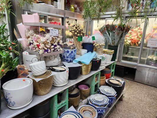 Interior of store