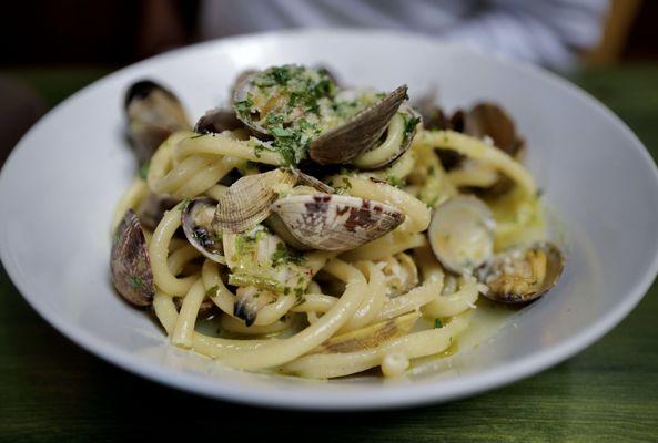 Manila clam perciatelli