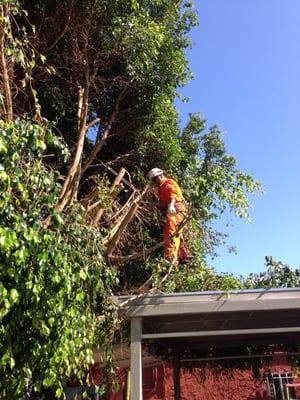 Trimming away from roof