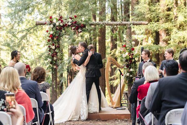 Wedding arch