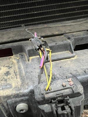 Major rodent damage, replaced harnesses.