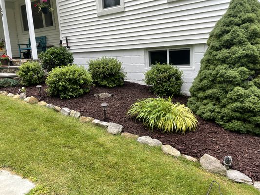 Mulch installation/planting