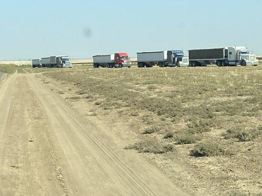 Harvesting in west texas