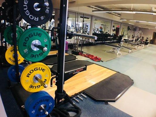 WellWorks has a variety of strength training equipment and squat racks available for members' use.