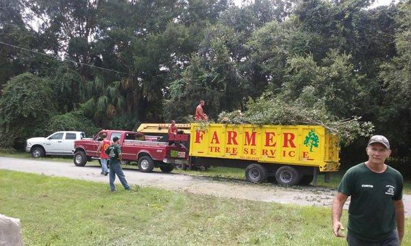 Best tree service in citrus county.