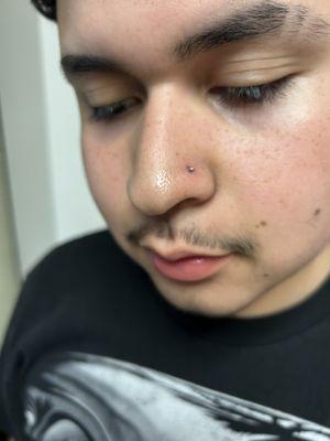 Piercings by Taz Tattoo