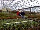 inside the greenhouse