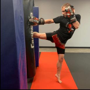 Multiple Punching Bags Big and Small; Stress Relief that is cardio (punch faster) and strength (Punch Harder) exercise