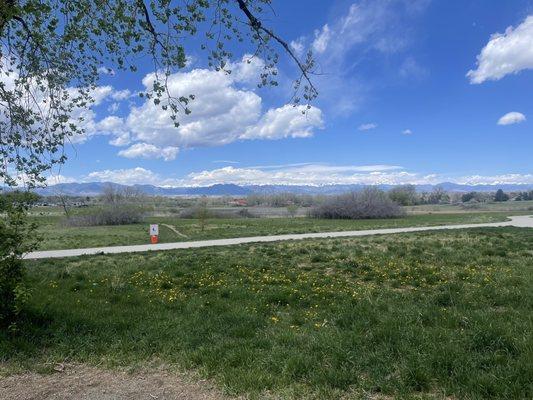 Mountain View down the greenway trail