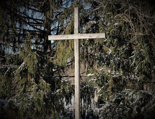 Cross in the back yard