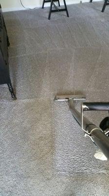 In progress, carpet cleaning..