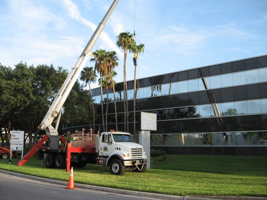 Arborist Aboard