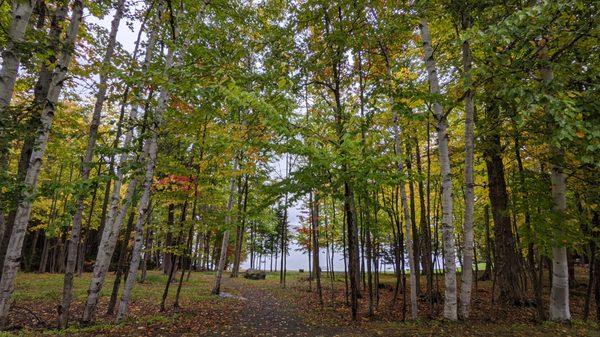 Rangeley Lake State Park