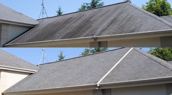 Before & After On a +20 Year Old Roof!