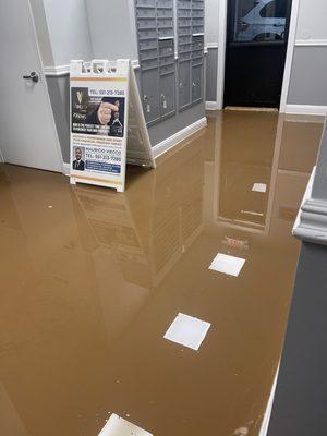 When it rains this is what happens in  this building where i pay $2,000 a month