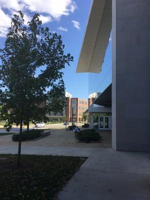 Beautiful day to do a workout inside and outside, behind the gym!