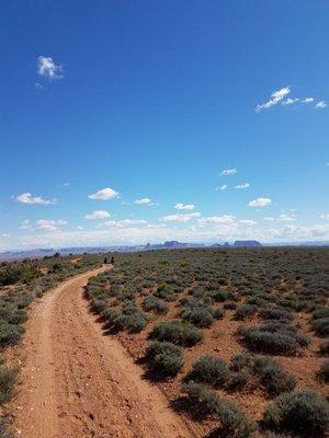 Douglas Mesa Horseback Trail Rides