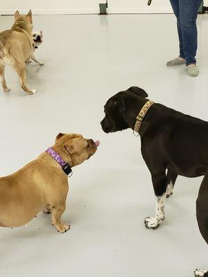 Zeke at Fydoland Daycare