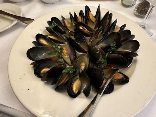 Mussels By Rinis