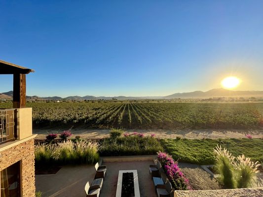 Valle de Guadalupe wine tour.