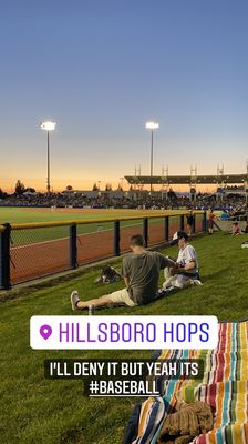 Field at sunset