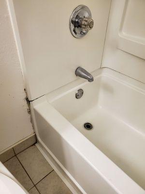 Moldy wall and mildly lip on bath tub.