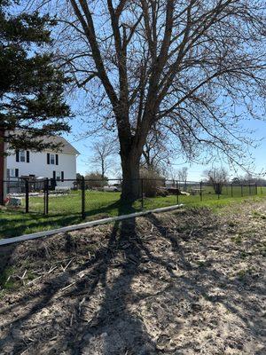 Gorgeous 4ft tall black vinyl chainlink fence!