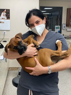 Dr. Carballo holding pet patient Lea.